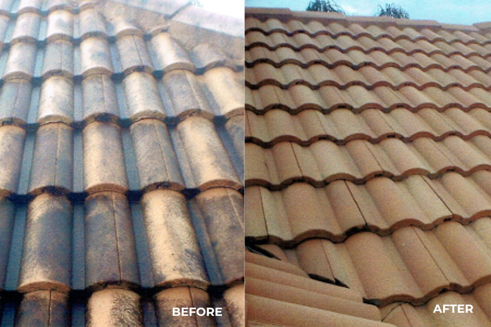 Roof cleaning before / after