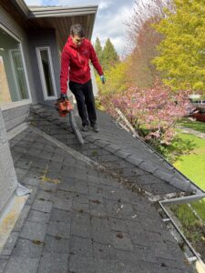 Leaves and debris sitting on a residential roof above a gutter line